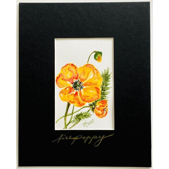 Fire Poppy - Original Wall Art Matted Flower Watercolor Painting 8x10in - Picture 3 of 5